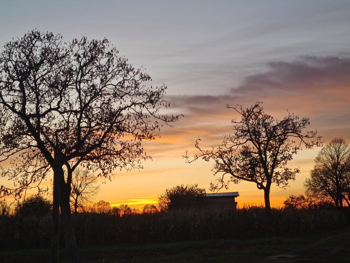 Agriturismo Residence Caporale Remanzacco エクステリア 写真