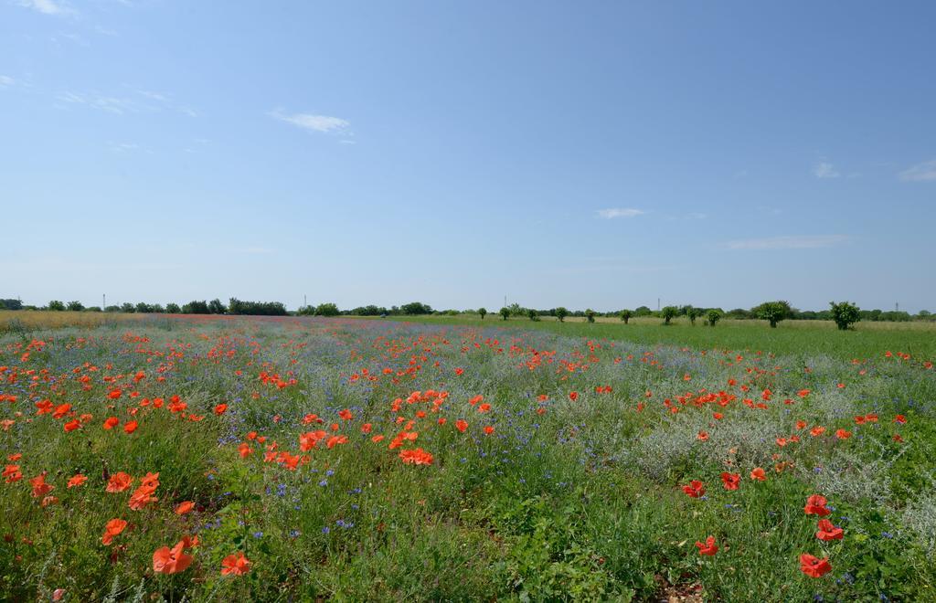 Agriturismo Residence Caporale Remanzacco エクステリア 写真