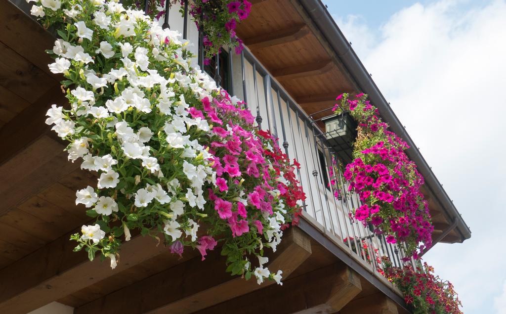 Agriturismo Residence Caporale Remanzacco エクステリア 写真